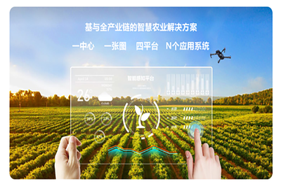 農業(yè)項目公示網站 推動農業(yè)現代化的新引擎