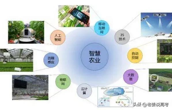 智慧農業(yè)專業(yè)發(fā)展前景與就業(yè)分析