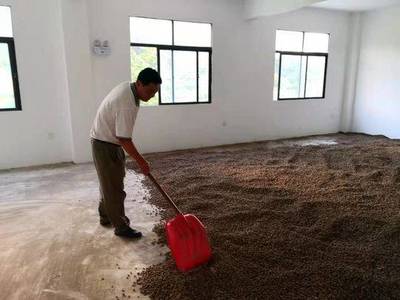 新時代中國共產黨人的“時空坐標” 以中醫藥振興助力健康中國建設