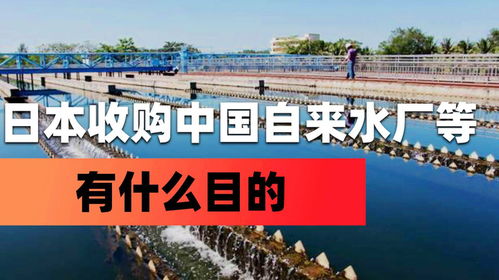 外資收購中國關鍵行業背后的戰略考量 以日資進入水務、中藥及鹽業為例